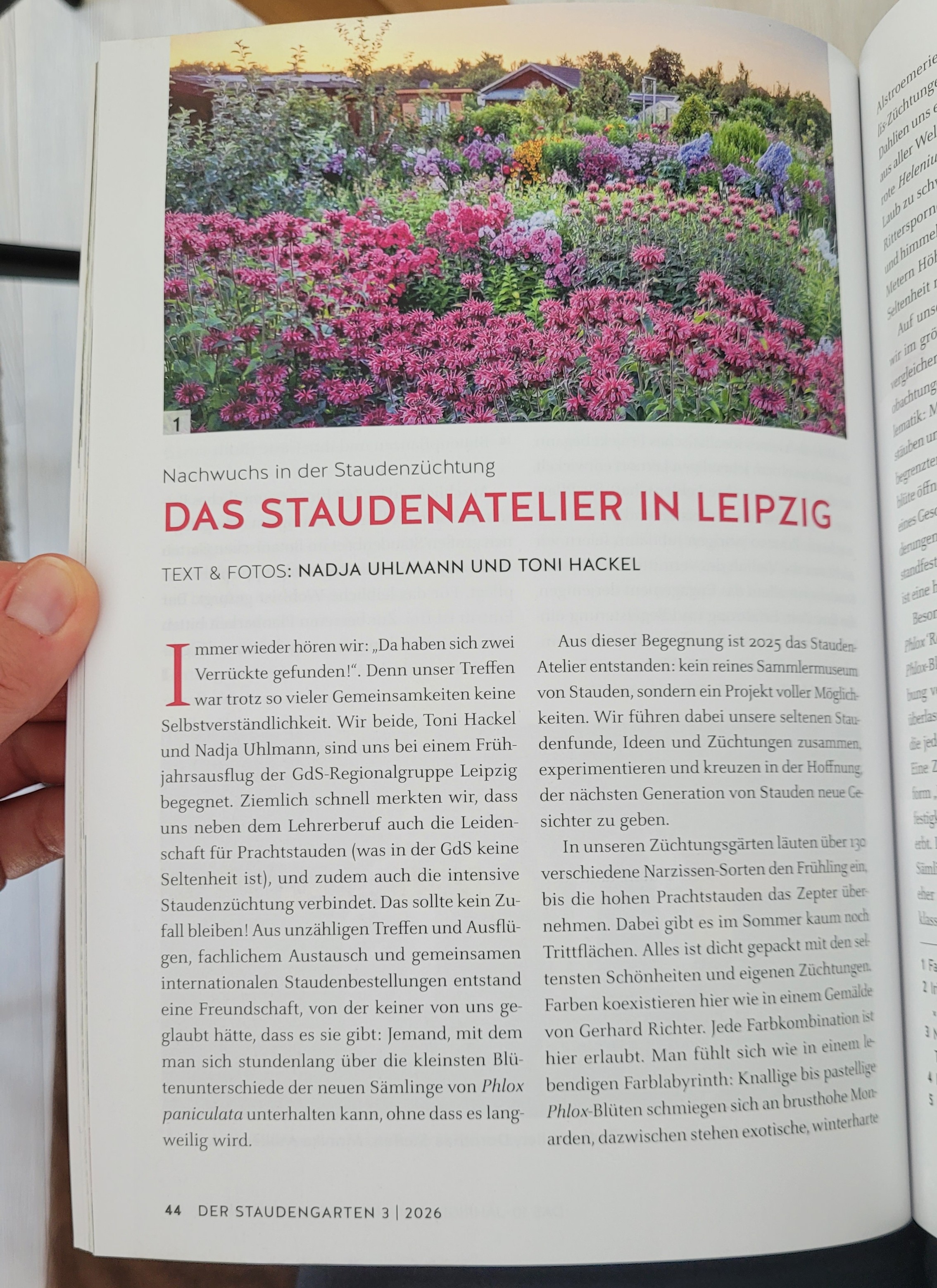 Wir sind im Staudengarten!
